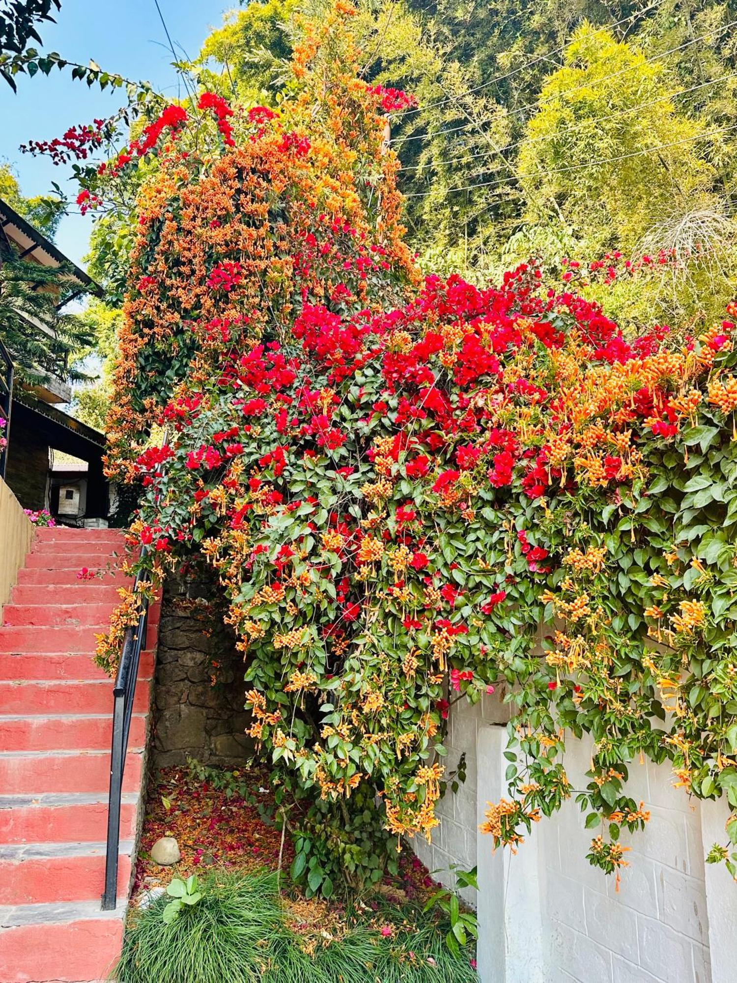 Homeland Forest Villa Pokhara Buitenkant foto