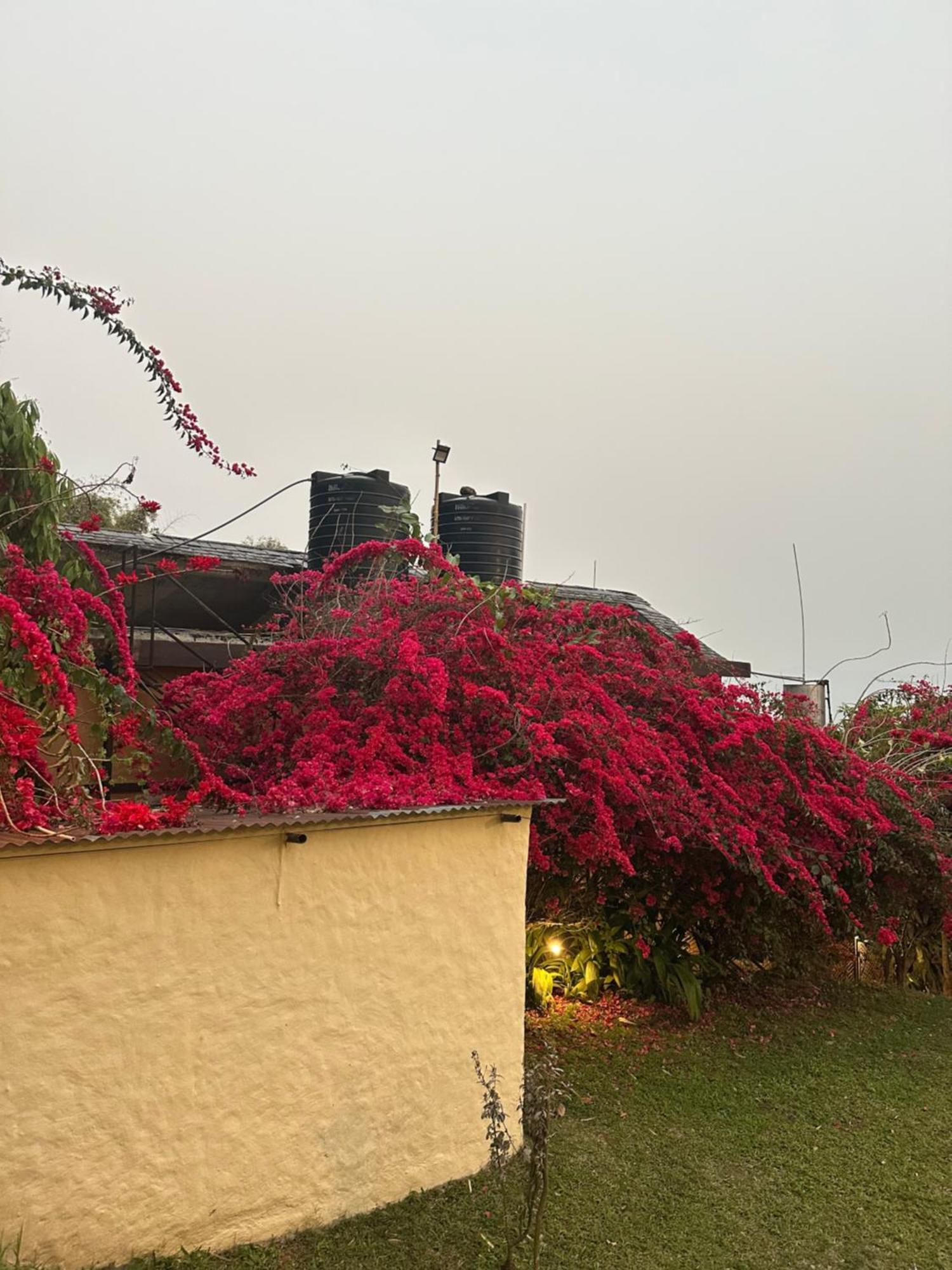 Homeland Forest Villa Pokhara Buitenkant foto