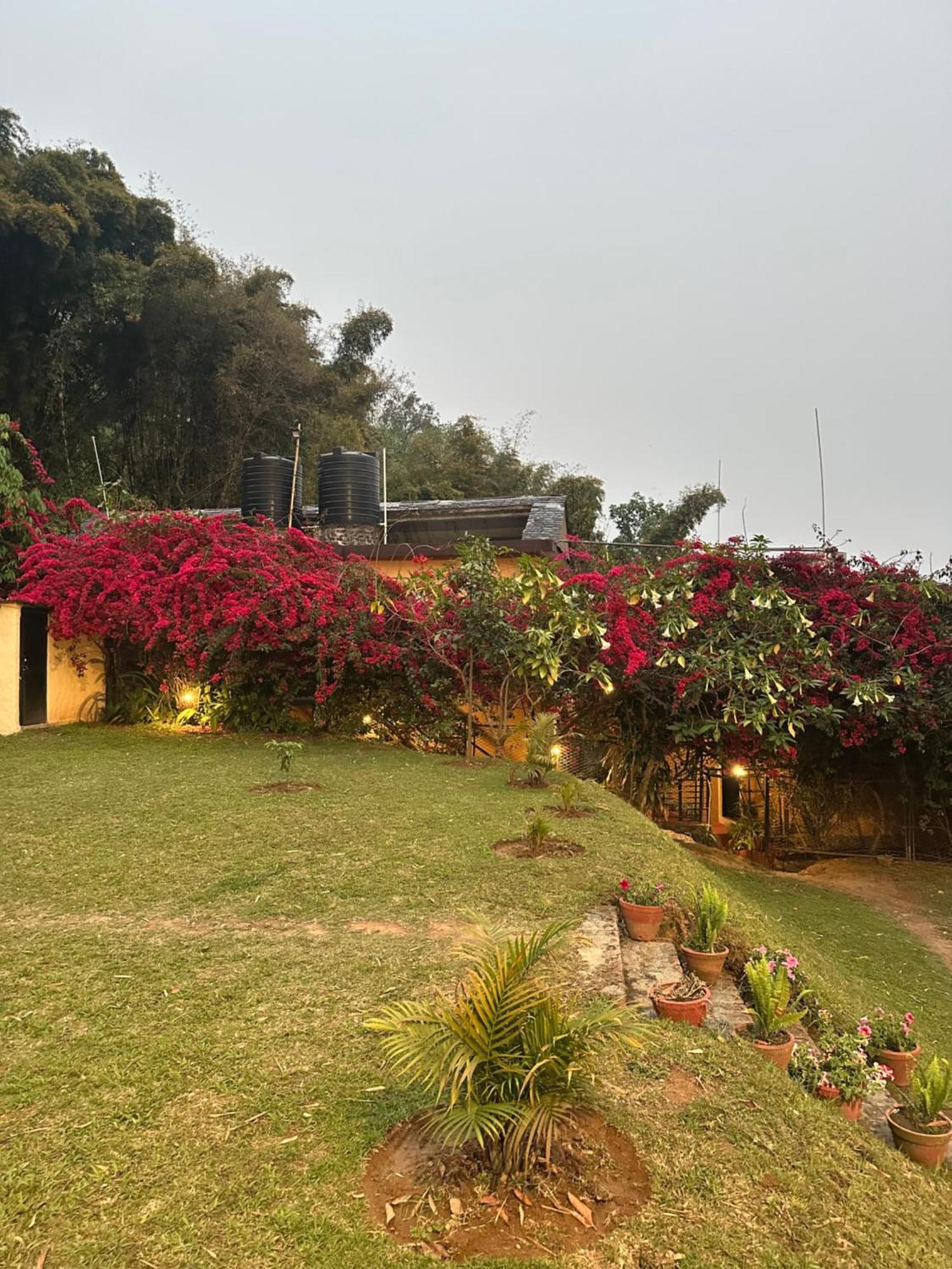 Homeland Forest Villa Pokhara Buitenkant foto